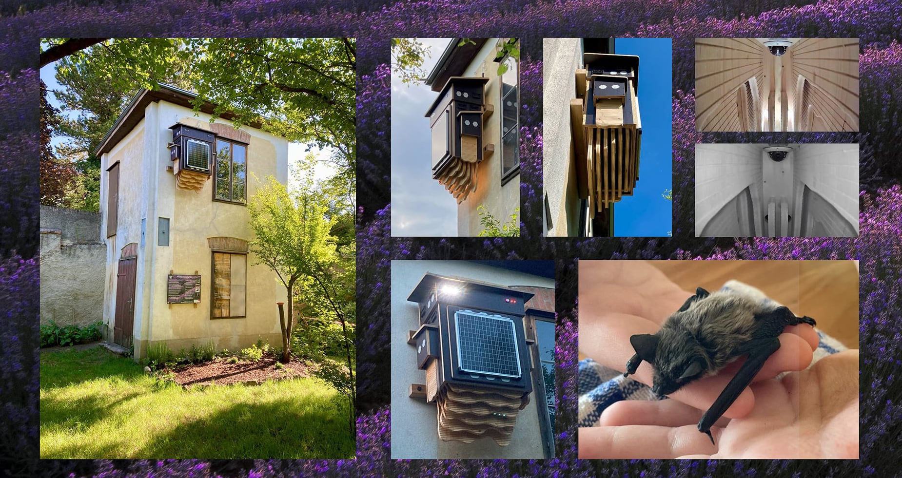 Collage-Homepage-Brunn-am-Gebirge-2