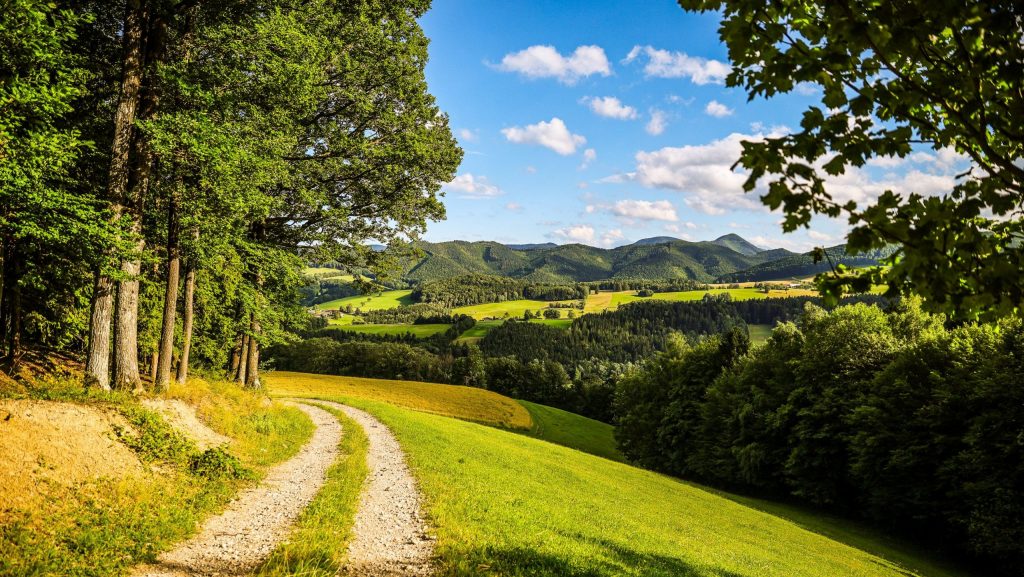 Europaschutzgebiet Wienerwald-Thermenregion
