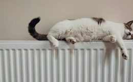 Heizkostenzuschuss & Weihnachtszuwendung_he-gong-unsplash