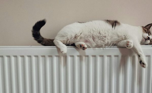 Heizkostenzuschuss & Weihnachtszuwendung_he-gong-unsplash