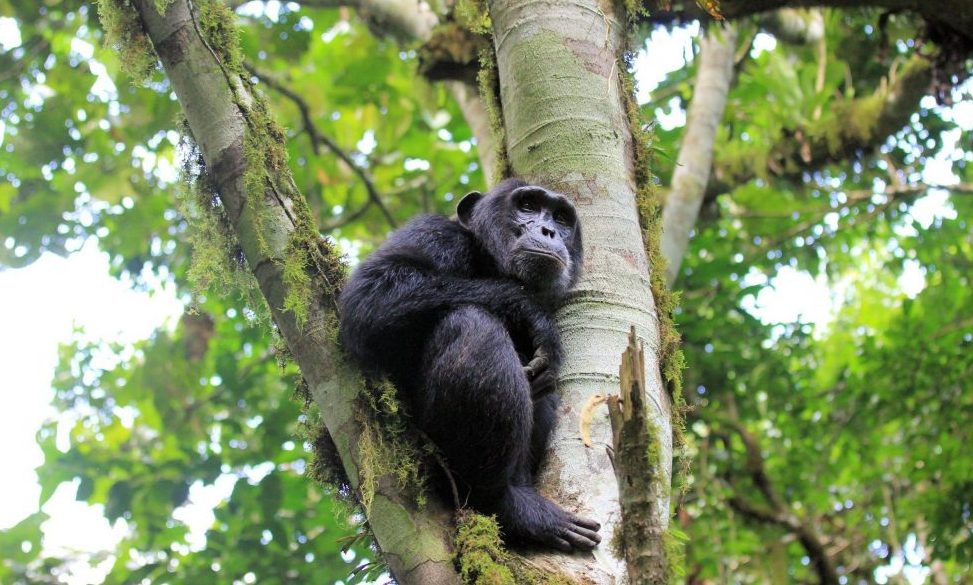 Uganda@DI Diether Wlaka